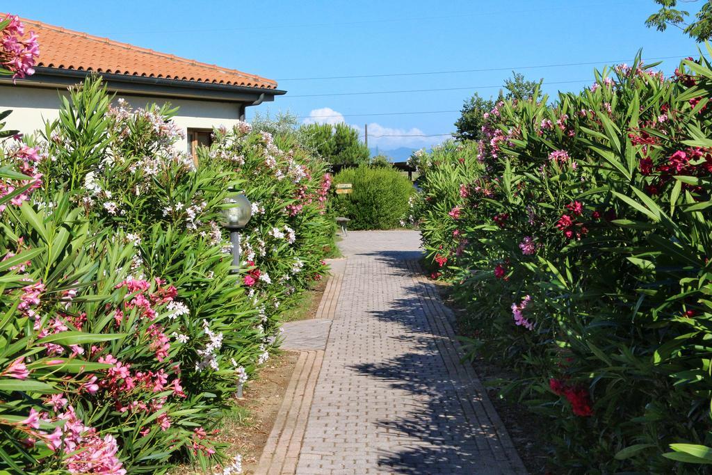 Agriturismo Gli Etruschi بوبولونيا المظهر الخارجي الصورة