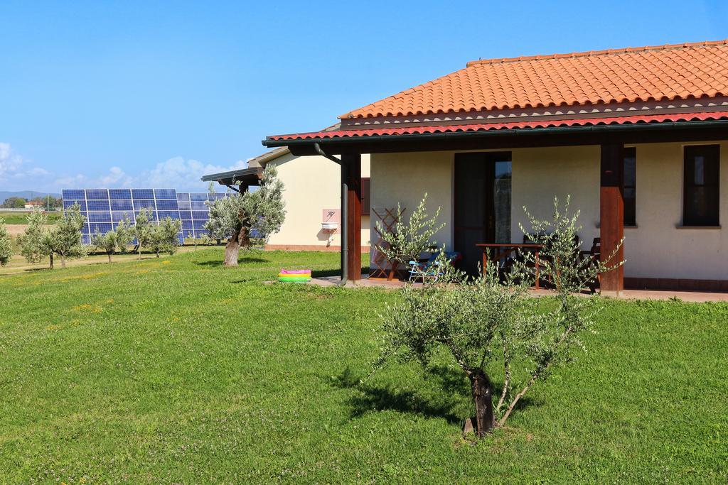 Agriturismo Gli Etruschi بوبولونيا المظهر الخارجي الصورة