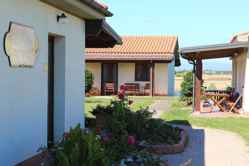 Agriturismo Gli Etruschi بوبولونيا المظهر الخارجي الصورة