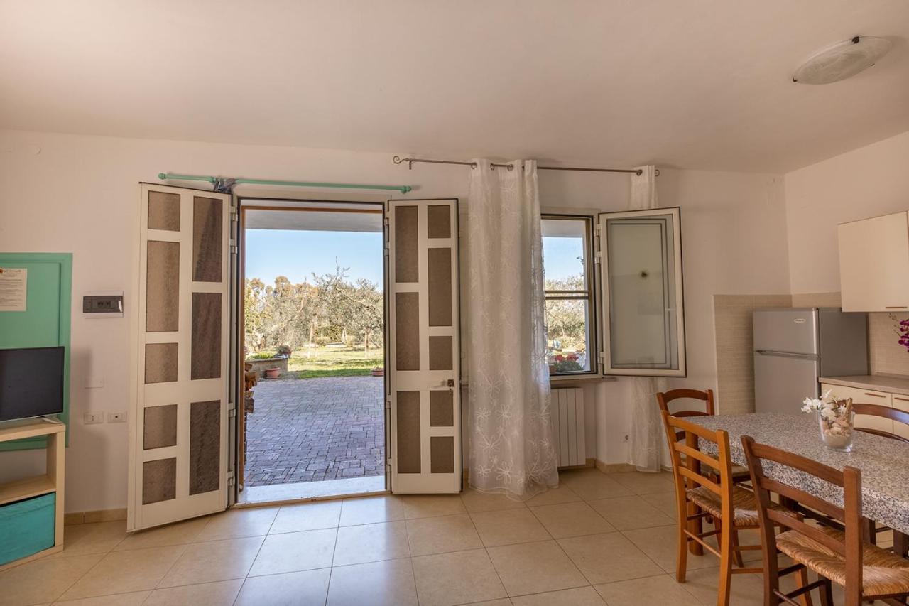 Agriturismo Gli Etruschi بوبولونيا المظهر الخارجي الصورة
